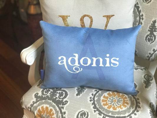 Baby Shower Gift, Custom Name Pillow, Personalized Pillow, Family Name, Birthday Gift,  Housewarming